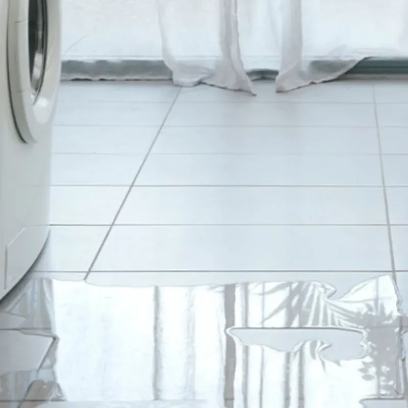 Appliance Leak Cleanup in Citrus Ridge, FL