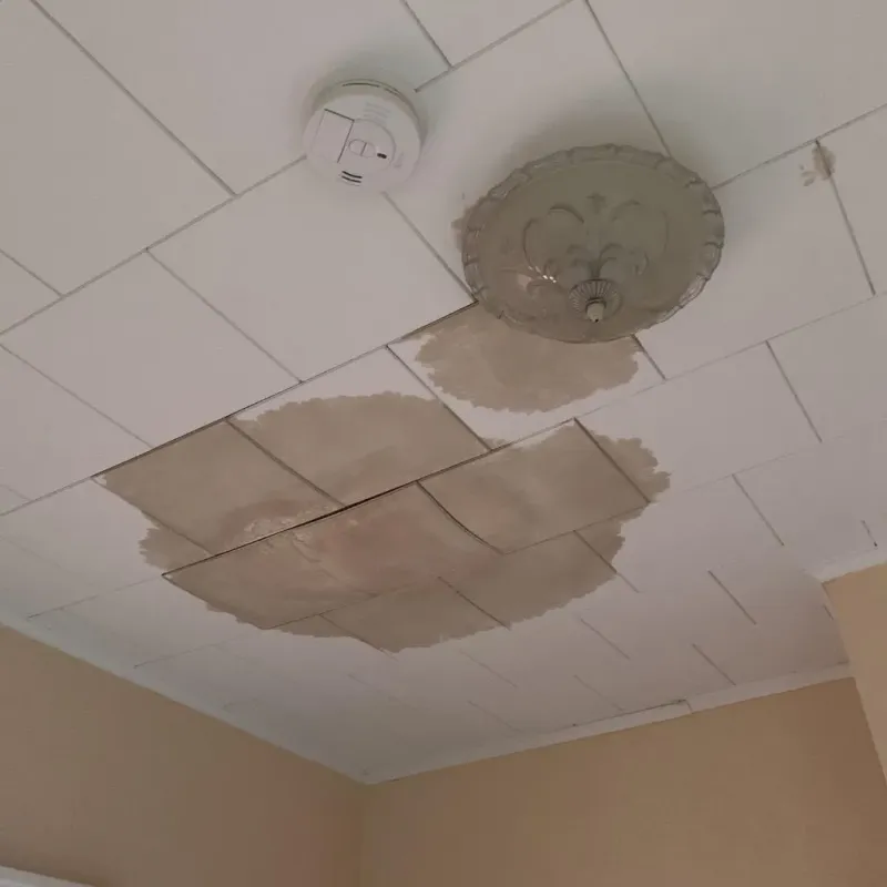 Ceiling Water Damage Repair in Citrus Ridge, FL