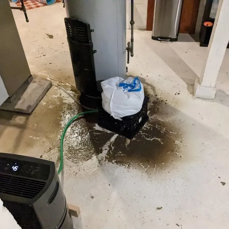 Sewage Backup Cleanup Service in Citrus Ridge, FL